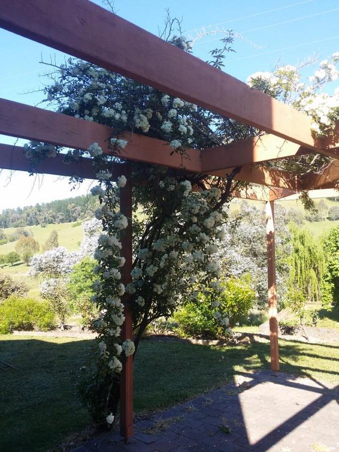 Rosewhite House Bed & Breakfast Myrtleford Luaran gambar